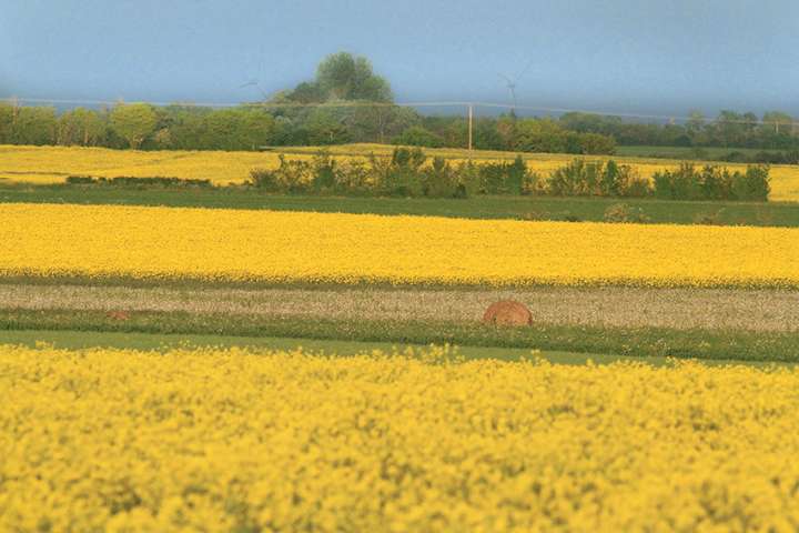 L'agroécologie, un modèle à suivre